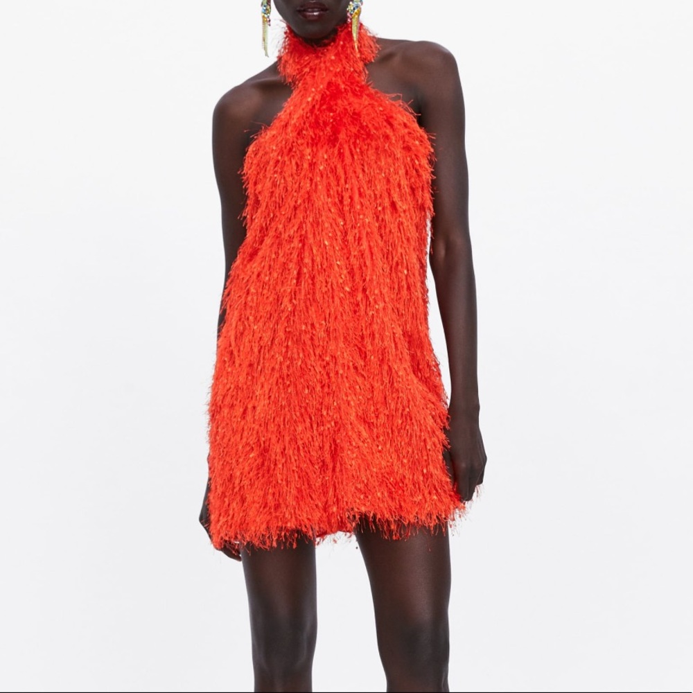 Zara Dress